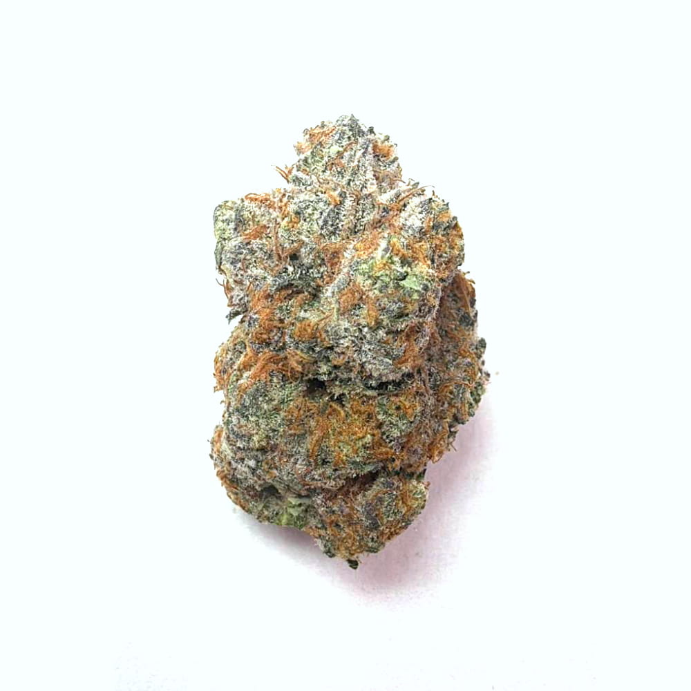 Casey Jones — Híbrida · 17% THC · Hydro Nacional