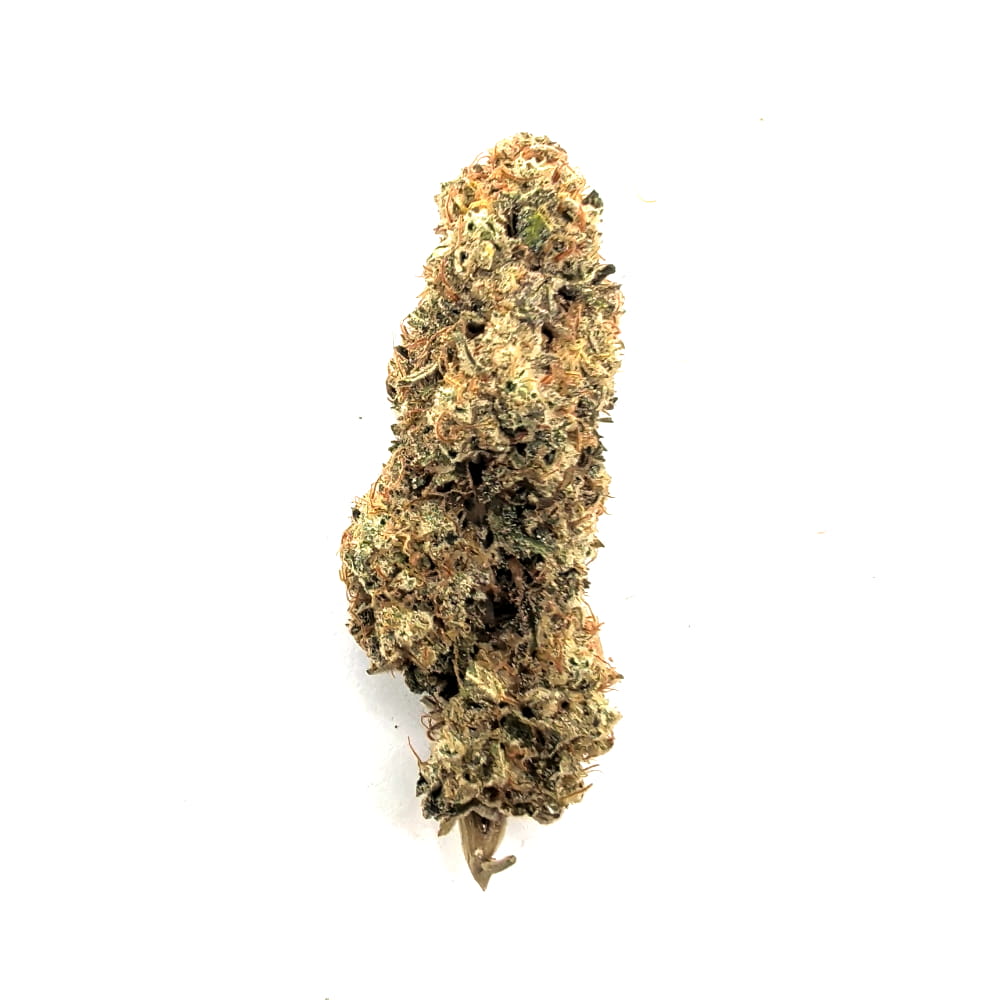 Kimbo — Híbrida · 18% THC · Hydro Nacional