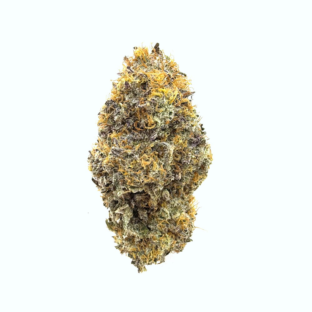 Purple Haze — Sativa · 16% THC · Hydro Nacional